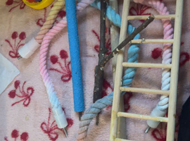 Parrot cage