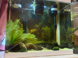 Fish tank