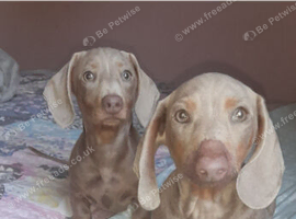 Brother & sister