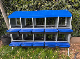 Chicken nest box for sale