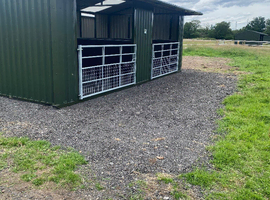 Horse paddock