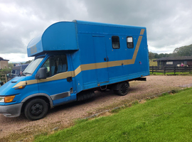Iveco daily horse box