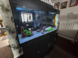 Juwel tank 4ft