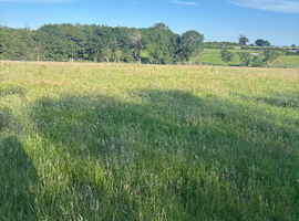 Retirement places available on a very tranquil, rural Yard in markyate