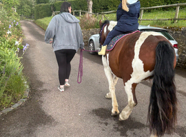 Mayo-neighs