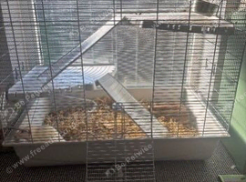 Cage