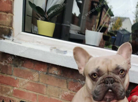 Rehome