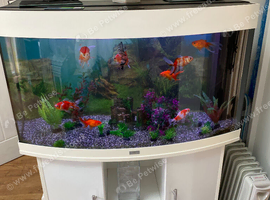Juwel  tank and stand, no fish.