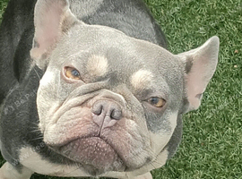 Female 3year old