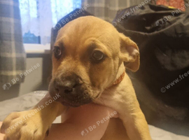 Re advertising due to owner pulling out