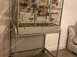 Large bird cage