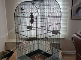 Bird cage