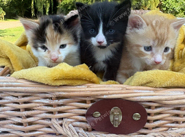 2 boys and a girl ready to leave now