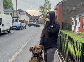 male dog &pound;160 including his Medium  metal cage