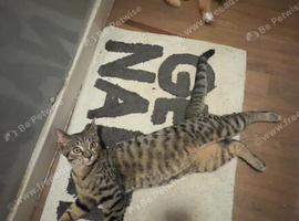 Handsome 1 year old boy