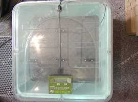 reptile incubator