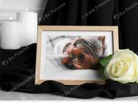 Eternity Tiki Luxury Pets Funeral Catering