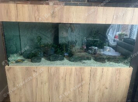 5ft aquarium 4 life tank with sump