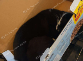 Black and white female