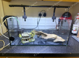 32 ltr Small Glass Aquarium Fish Tank with Light and Decorations