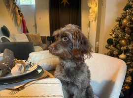 Looking for an exceptional forever home