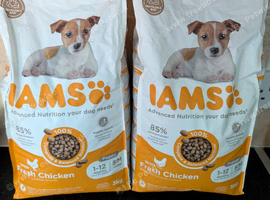 Iams puppy food