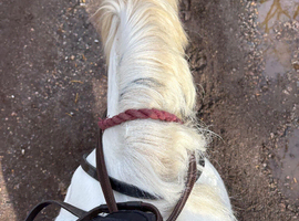 Stable hand