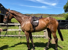 Prestige Runner