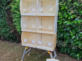 Bird cages