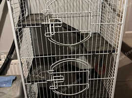 Chinchilla cage