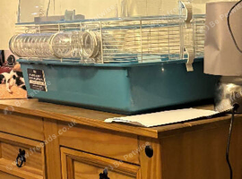 Hamster cage