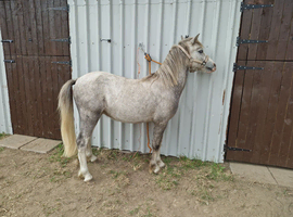 Open to low sensible offers