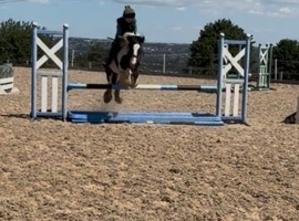 perfect children's pony!