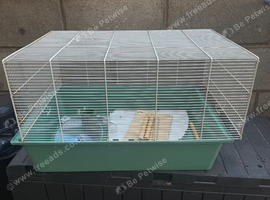 Hamster cage for sale