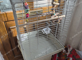 Bird cage