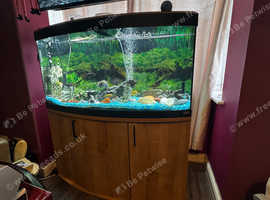 Fluvial aquarium for sale