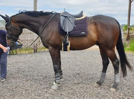Beautiful ROR