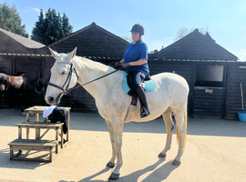 For share 17.3hh Irish gelding 1/2 days per week.