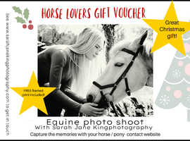 Equine photo shoot
