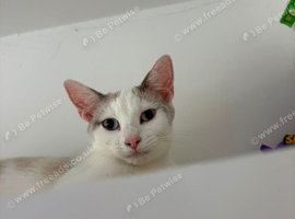REHOME