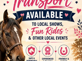 Horse transport