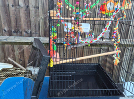 Bird cage forsale