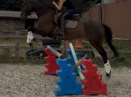 Teenagers dream horse.