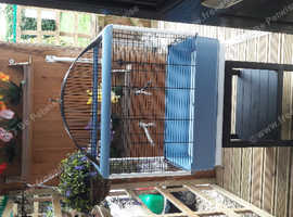 3 lovely bird cages