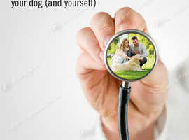 The REAL Epidemic: Preventing and Treating Allergies and Autoimmune Diseases in your dog (and yourself), by Catherine O'Driscoll.