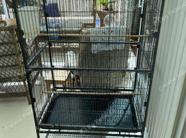 Large bird flight cage, perches and feeder.