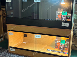 Leopard Gecko baby + Full setup kit