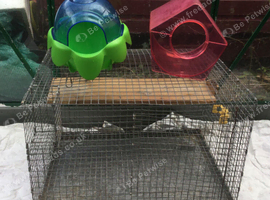 FREE!! Wire Chinchilla Cage with Accessories