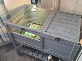 2 tortoise and set up