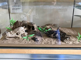Ant keeping supplies | Tank for ants, beetles, scorpions or other inverts | animals enclosure